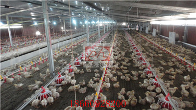 �B���O��-�Ͼ�(xi��n)