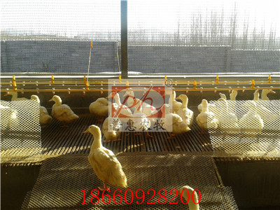 �B���O��-ˮ��(xi��n)