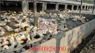 �B���O��-ˮ��(xi��n)