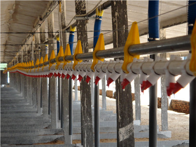 �B���O��-�� ˮ��(xi��n)