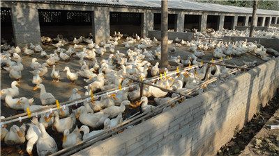 �B���O��-�� ˮ��(xi��n)