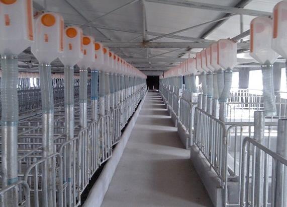 ��ֹ�҂���ʧ�`���������Ч������ۿ�